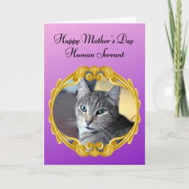 Funny Cat Regler, Hushållet Mors dag Kort