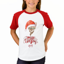 Funny Cat Santa Winter God jul