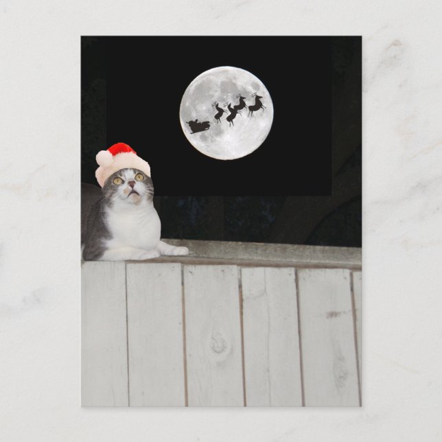 Funny Cat Sees Santa Helg Vykort (Framsida)