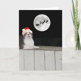 Funny Cat Sees Santa Helgkort