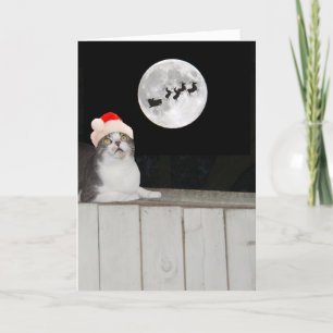 Funny Cat Sees Santa Helgkort