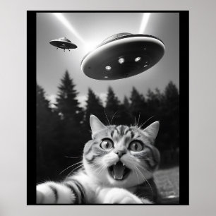 Funny Cat Selfie med UFO Alien Poster