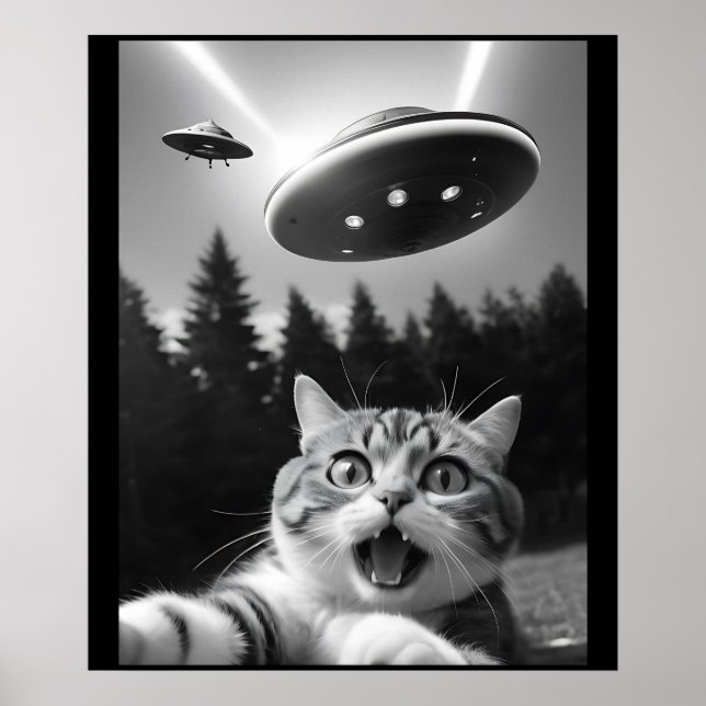 Funny Cat Selfie med UFO Alien Poster (Framsidan)