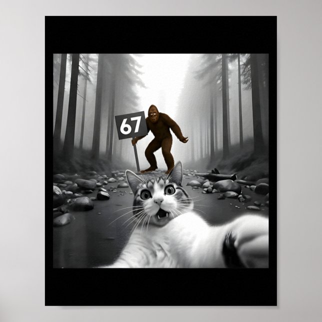 Funny Cat Selfie With Bigfoot 67 Six Seven Meme Me Poster (Framsidan)