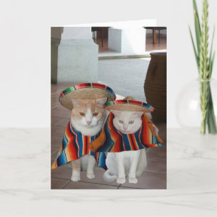 Funny Cat Spain Birthday för make eller hustru Kort