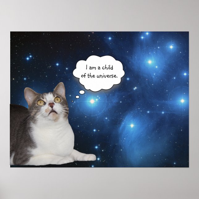 Funny Cat Star Gazer Poster (Framsidan)