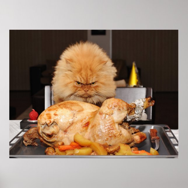 Funny Cat Thanksgiving Poster (Framsidan)