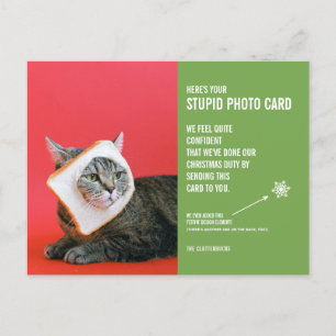 Funny Cat-vykort för stoppat fotkort vid jul Vykort