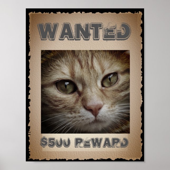 Funny Cat Wanted Poster (Framsidan)