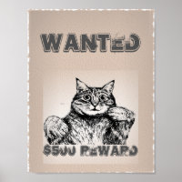 Funny Cat Wanted