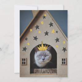 Funny Cat Wearing Golden Glitter Bling Krona