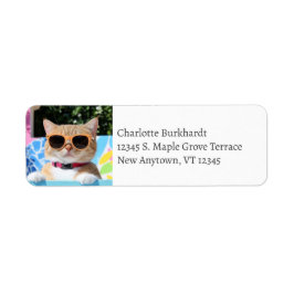 Funny Cat Wearing Sunglasses vid Bassäng Returadress Etikett