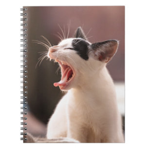 Funny Cat Yawning Anteckningsbok