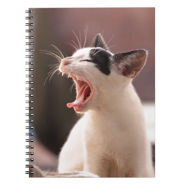 Funny Cat Yawning Anteckningsbok (Framsidan)