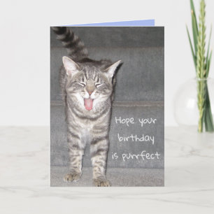 Funny Cat Yawning Birthday Kort