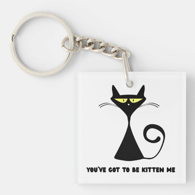 Funny cat "You’ve got to be kitten me" (Framsidan)