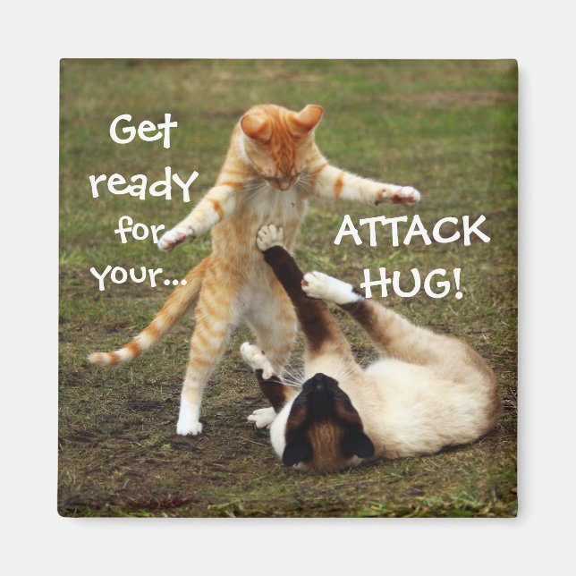 Funny Cats Caption Attack Hug Magnet (Framsidan)