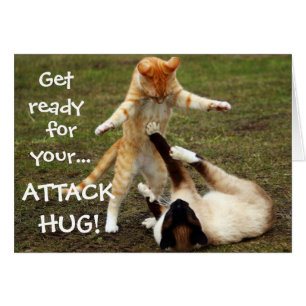 Funny Cats Caption Attack Hug OBS Kort