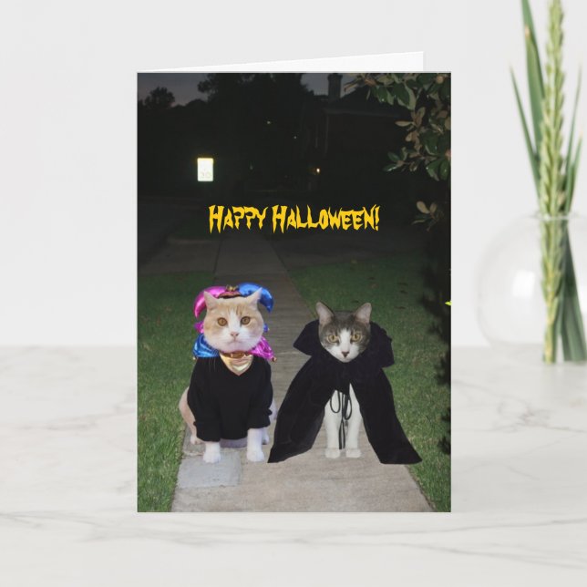 Funny Cats Halloween Kort (Framsida)