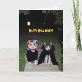 Funny Cats Halloween Kort