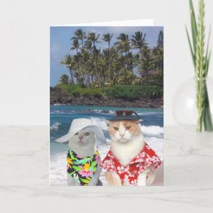 Funny Cats Hawaiian Valentine Helgkort