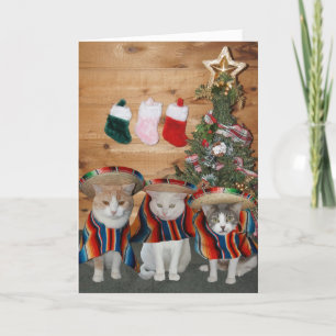 Funny Cats/Kattunge Feliz Navidad Helgkort