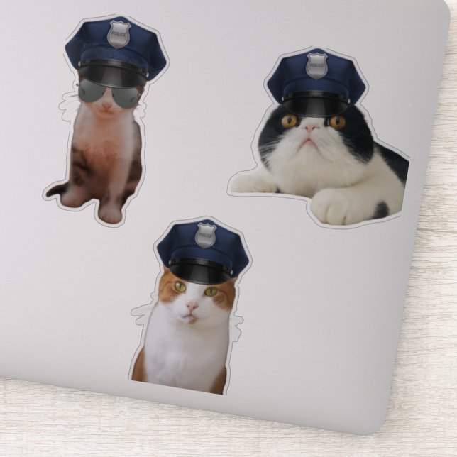 Funny Cats Klistermärken (Detalj)