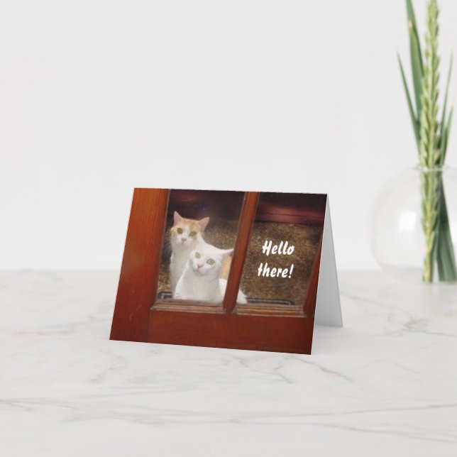 Funny Cats Notecard Kort (Framsida)