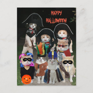 Funny Cats Prowling på Halloween Vykort