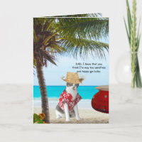 Funny Cats, Roligt Loving Son, Fars dag