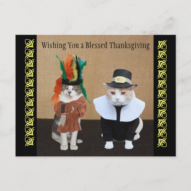 Funny Cats Thanksgiving Helg Vykort (Framsida)