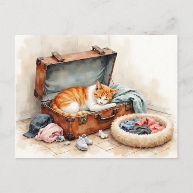 Funny Change of Address from Orange Cat Vykort (Framsida)