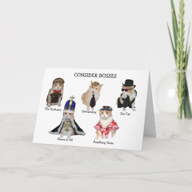 Funny Chef Birthday Kort (Framsida)