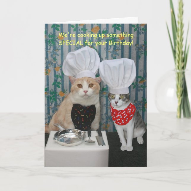 Funny Chef Cats Birthday Kort (Framsida)