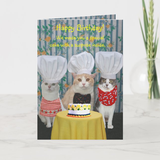 Funny Chef Cats Birthday Kort (Framsida)