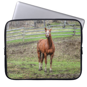 Funny Chestnut Stallion Horse Whinnying Photo Laptop Fodral