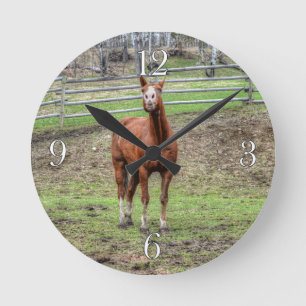 Funny Chestnut Stallion Horse Whinnying Photo Rund Klocka