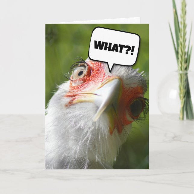 FUNNY CHICKEN BIRTHDAY CARD KORT (Framsida)