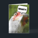 FUNNY CHICKEN BIRTHDAY CARD KORT<br><div class="desc">DU SER INTE DEN GAMLA! BIRTHDAY-KORT MED FUNNY CHICKEN</div>