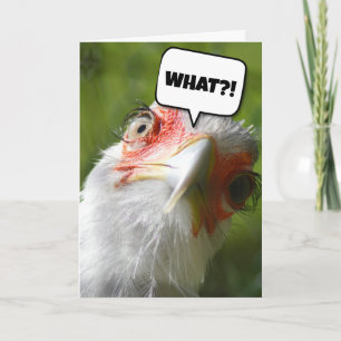 FUNNY CHICKEN BIRTHDAY CARD KORT
