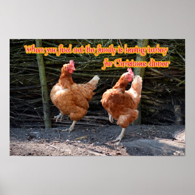 Funny Chicken- och Tupp-PM med Funny Bilder Poster (Framsidan)