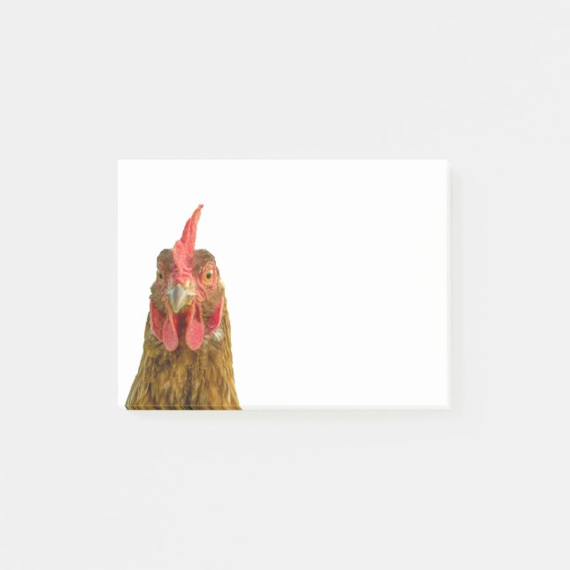 Funny Chicken Porträtt Photo on White Post-it Block (Framsida)