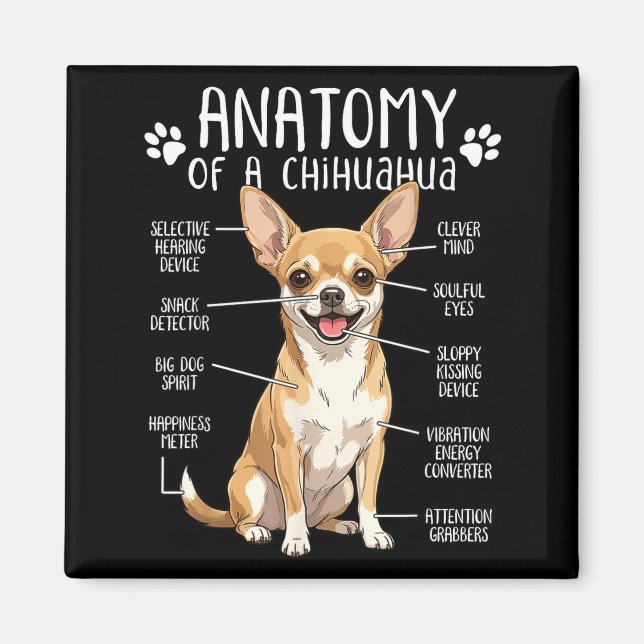 Funny Chihuahua Anatomy Of A Chihuahua Dog Owner P Magnet (Framsidan)