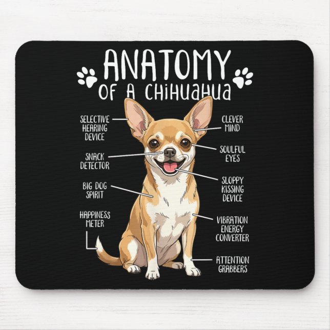 Funny Chihuahua Anatomy Of A Chihuahua Dog Owner P Musmatta (Framsidan)