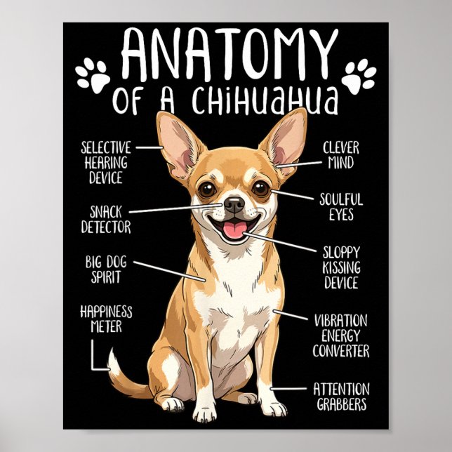Funny Chihuahua Anatomy Of A Chihuahua Dog Owner P Poster (Framsidan)