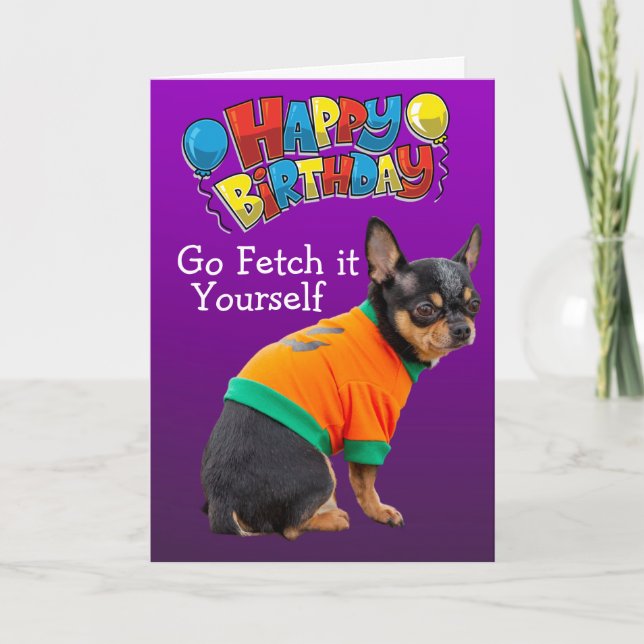 Funny Chihuahua-hund-födelsedagskort Kort (Framsida)