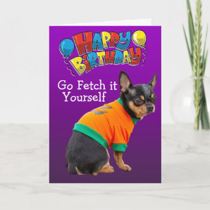 Funny Chihuahua-hund-födelsedagskort Kort
