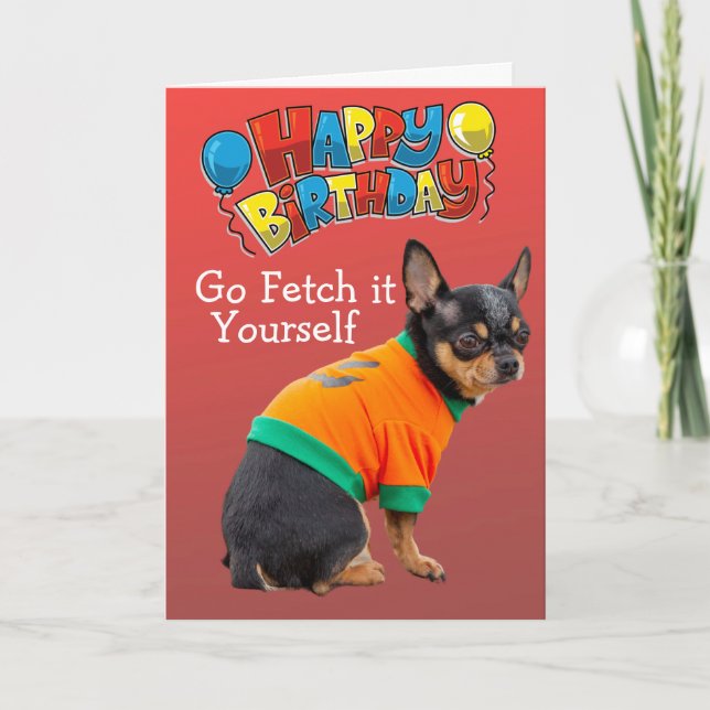 Funny Chihuahua-hund-födelsedagskort Kort (Framsida)