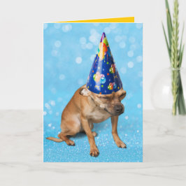 Funny Chihuahua i Födelsedagsfest Hat Kort
