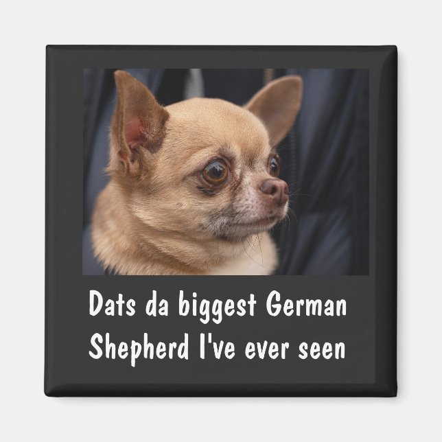 FUNNY CHIHUAHUA MAGNET (Framsidan)